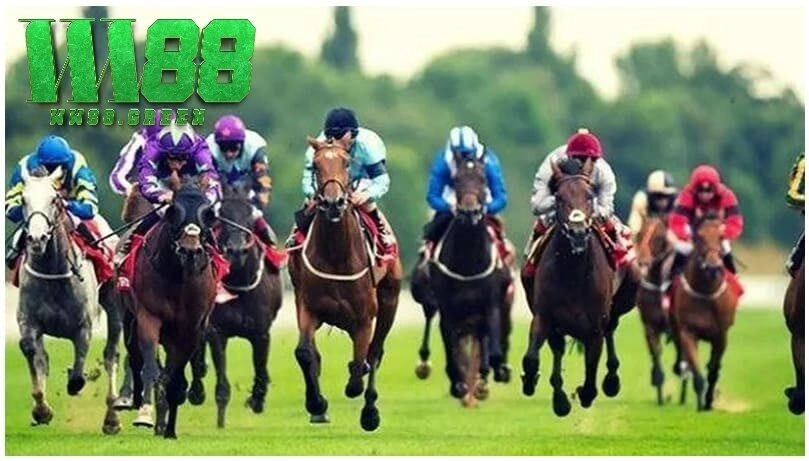 Cá Cược Đua Ngựa – Kỹ Năng Đặt Cược Đẳng Cấp WW88