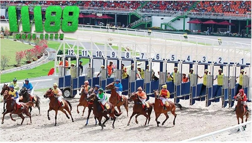 Tìm hiểu về các loại cá cược đua ngựa