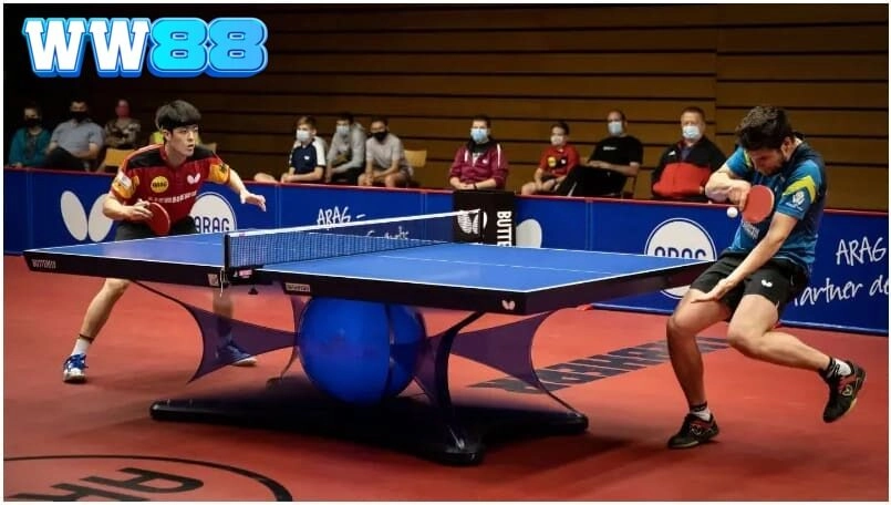 Tìm hiểu thông tin để nhận định trước kèo cá cược bóng bàn